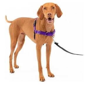 NEW PetSafe Easy Walk No-Pull Dog Harness - Medium, Deep Purple/Black